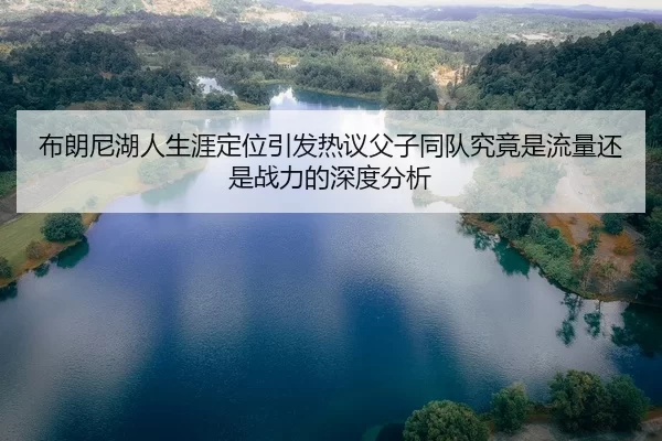 布朗尼湖人生涯定位引发热议父子同队究竟是流量还是战力的深度分析