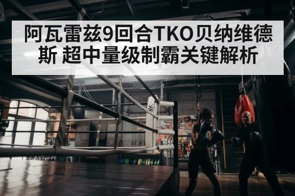 boxer training